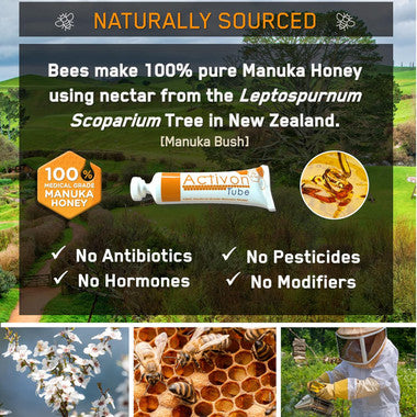 Activon Gel Honey Dressing (20g tube)